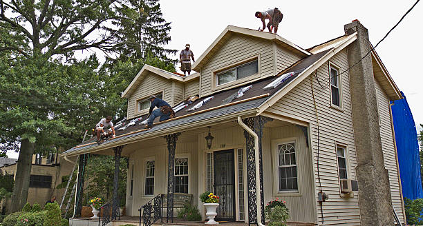 Best Residential Roofing Contractor  in South Holland, IL