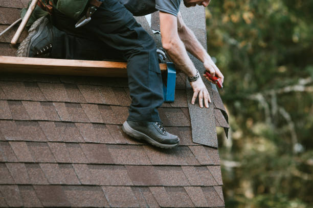 Best Roofing Contractor Near Me  in South Holland, IL